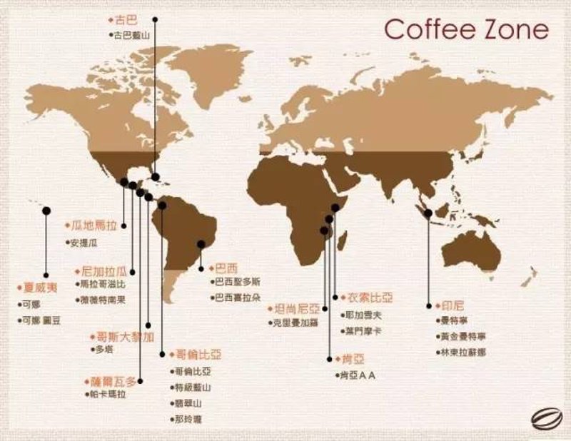 咖啡豆市场动态：批发商如何把握商机？